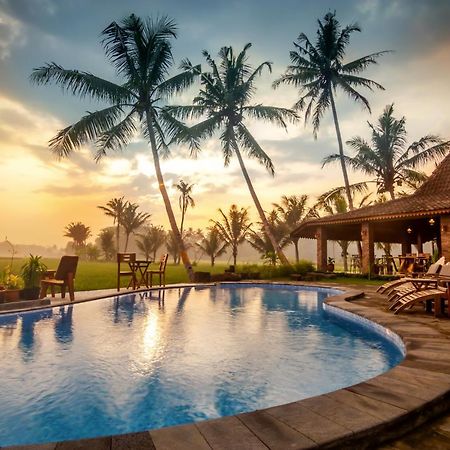 Gopalan Borobudur Hotel Magelang Eksteriør billede